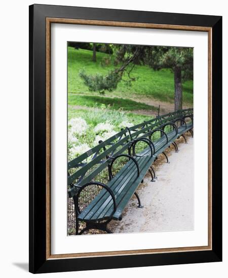 Benches, Central Park, Manhattan-Amanda Hall-Framed Photographic Print