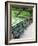 Benches, Central Park, Manhattan-Amanda Hall-Framed Photographic Print