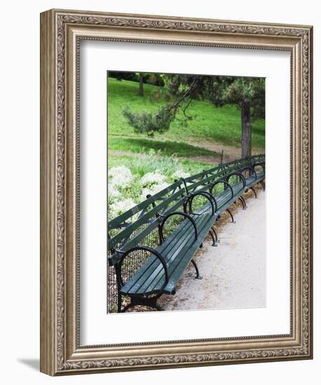 Benches, Central Park, Manhattan-Amanda Hall-Framed Photographic Print