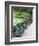 Benches, Central Park, Manhattan-Amanda Hall-Framed Photographic Print