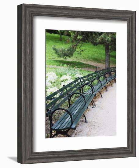 Benches, Central Park, Manhattan-Amanda Hall-Framed Photographic Print