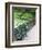 Benches, Central Park, Manhattan-Amanda Hall-Framed Photographic Print