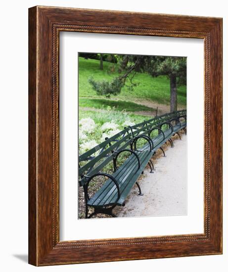 Benches, Central Park, Manhattan-Amanda Hall-Framed Photographic Print