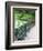 Benches, Central Park, Manhattan-Amanda Hall-Framed Photographic Print