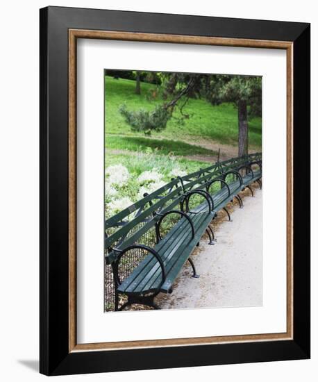 Benches, Central Park, Manhattan-Amanda Hall-Framed Photographic Print