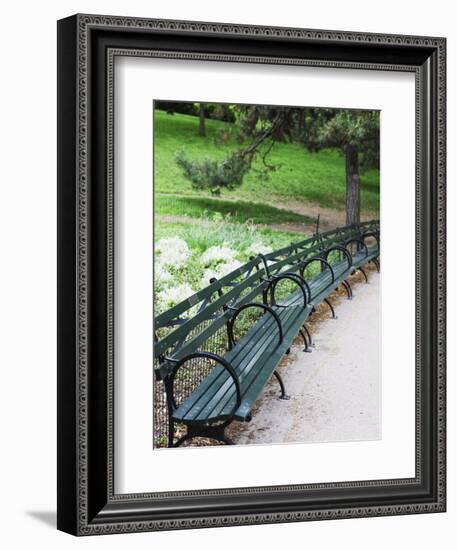 Benches, Central Park, Manhattan-Amanda Hall-Framed Photographic Print