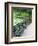 Benches, Central Park, Manhattan-Amanda Hall-Framed Photographic Print