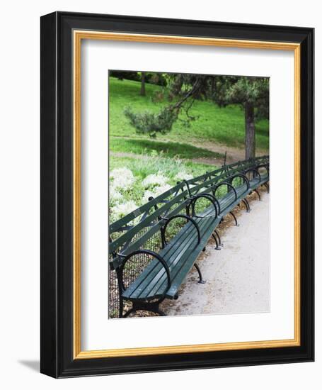 Benches, Central Park, Manhattan-Amanda Hall-Framed Photographic Print