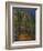 Bend in the Forest Road, 1902-1906-Paul Cézanne-Framed Giclee Print