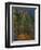 Bend in the Forest Road, 1902-1906-Paul Cézanne-Framed Giclee Print