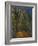 Bend in the Forest Road, 1902-1906-Paul Cézanne-Framed Giclee Print