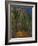 Bend in the Forest Road, 1902-1906-Paul Cézanne-Framed Giclee Print