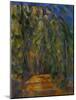 Bend in the Forest Road, 1902-1906-Paul Cézanne-Mounted Giclee Print