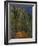 Bend in the Forest Road, 1902-1906-Paul Cézanne-Framed Giclee Print