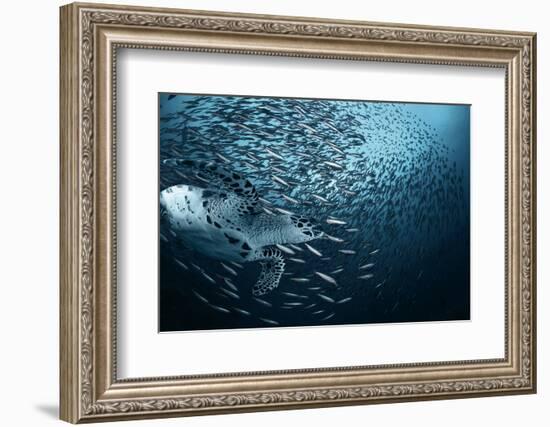 Bend-Andrey Narchuk-Framed Photographic Print