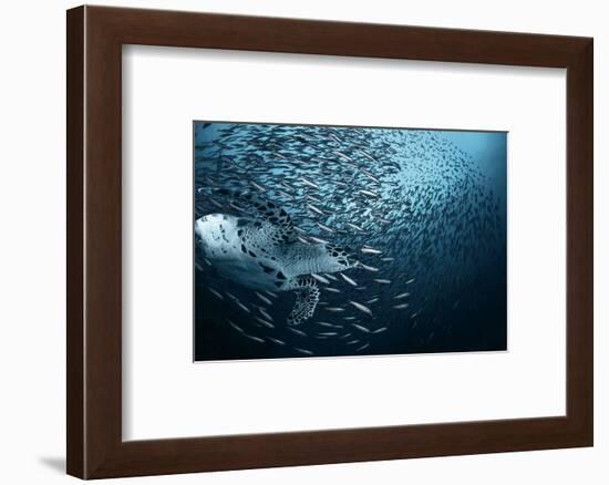 Bend-Andrey Narchuk-Framed Photographic Print