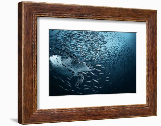 Bend-Andrey Narchuk-Framed Photographic Print