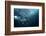 Bend-Andrey Narchuk-Framed Photographic Print