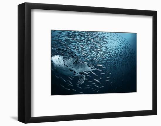 Bend-Andrey Narchuk-Framed Photographic Print