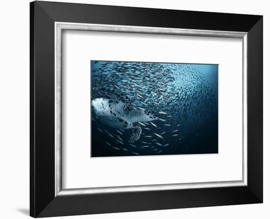 Bend-Andrey Narchuk-Framed Photographic Print