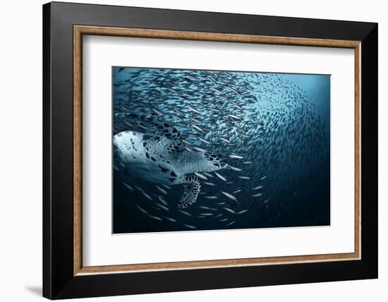 Bend-Andrey Narchuk-Framed Photographic Print