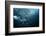 Bend-Andrey Narchuk-Framed Photographic Print