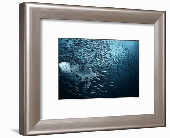 Bend-Andrey Narchuk-Framed Photographic Print