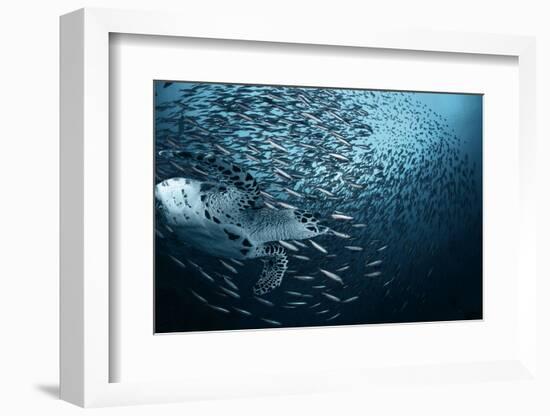 Bend-Andrey Narchuk-Framed Photographic Print