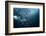 Bend-Andrey Narchuk-Framed Photographic Print