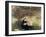 Beneath the Lilac at Maurecourt, 1874-Berthe Morisot-Framed Giclee Print