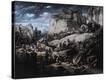Stretched Canvas Print