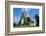 Benedictine San Bruzio Monastery Ruins, Magliano in Toscana, Tuscany, Italy, Europe-Carlo Morucchio-Framed Photographic Print