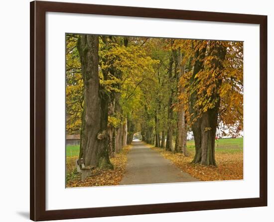 Benediktbeuern, Autumn-Uta Horst-Framed Photographic Print