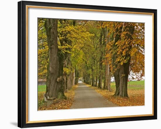 Benediktbeuern, Autumn-Uta Horst-Framed Photographic Print