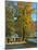 Benediktbeuern Monastery, Walkers, Maple Tree, Foliage-Uta Horst-Mounted Photographic Print