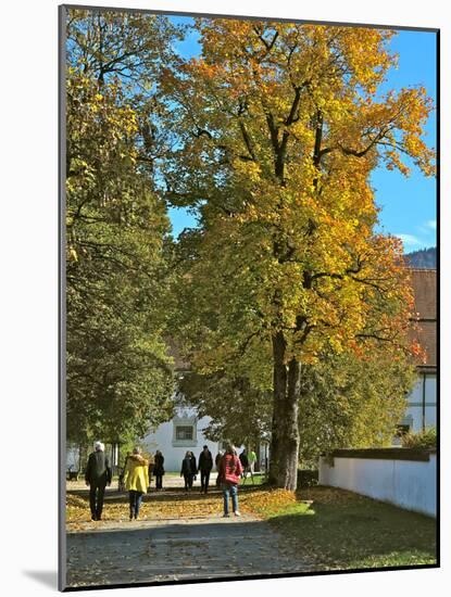 Benediktbeuern Monastery, Walkers, Maple Tree, Foliage-Uta Horst-Mounted Photographic Print