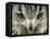 Bengal Eagle-Owl in India-Martin Harvey-Framed Premier Image Canvas