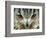 Bengal Eagle-Owl in India-Martin Harvey-Framed Photographic Print