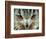 Bengal Eagle-Owl in India-Martin Harvey-Framed Photographic Print