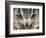 Bengal Eagle-Owl in India-Martin Harvey-Framed Photographic Print