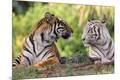 Premium Photographic Print