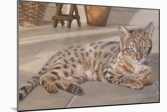 Bengal Kitten-Janet Pidoux-Mounted Giclee Print