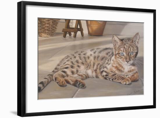 Bengal Kitten-Janet Pidoux-Framed Giclee Print