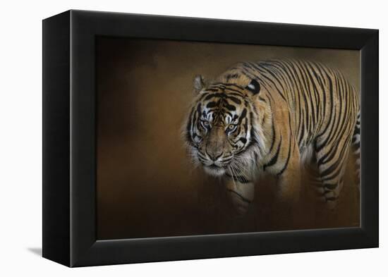 Bengal Stare-Jai Johnson-Framed Premier Image Canvas