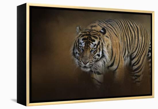 Bengal Stare-Jai Johnson-Framed Premier Image Canvas