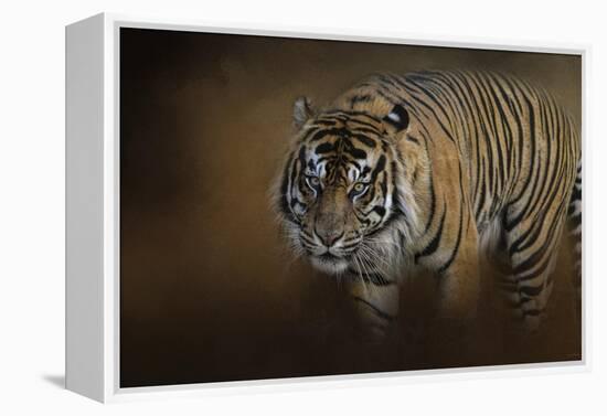 Bengal Stare-Jai Johnson-Framed Premier Image Canvas