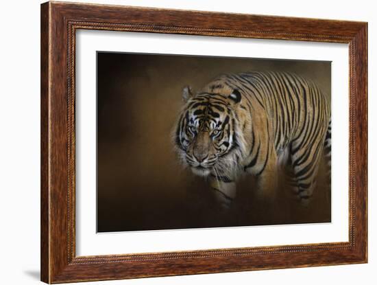 Bengal Stare-Jai Johnson-Framed Giclee Print