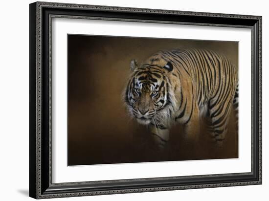 Bengal Stare-Jai Johnson-Framed Giclee Print