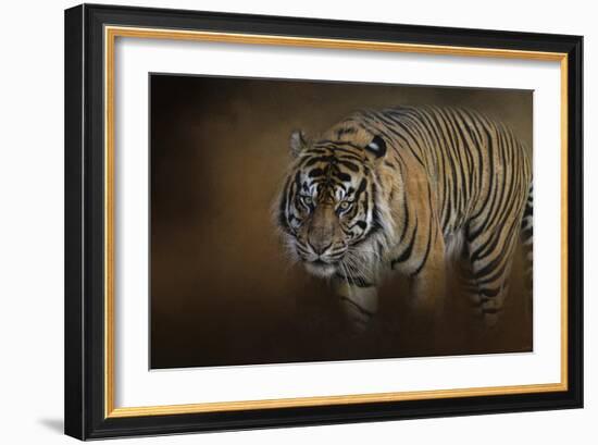 Bengal Stare-Jai Johnson-Framed Giclee Print