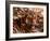 Bengal Tiger in Bandhavgarh National Park, India-Dee Ann Pederson-Framed Photographic Print